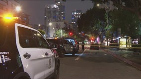 Man set on fire by homeless woman in downtown LA: police