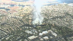 Brush fire breaks out near Peck Park in San Pedro