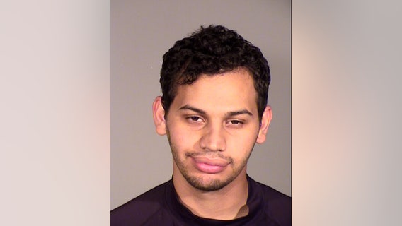 Man sprayed chemicals into victim's face during video game robbery: police