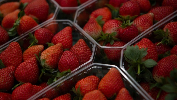 Strawberries sold in grocery stores across the country recalled after Hepatitis A outbreak