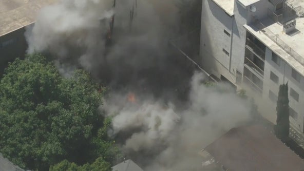 Crews respond to garage fire in Hollywood