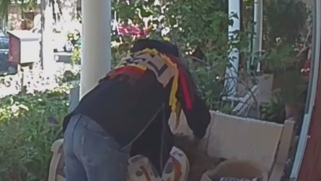 CAUGHT ON CAMERA: Senior cat stolen from porch in West Hollywood