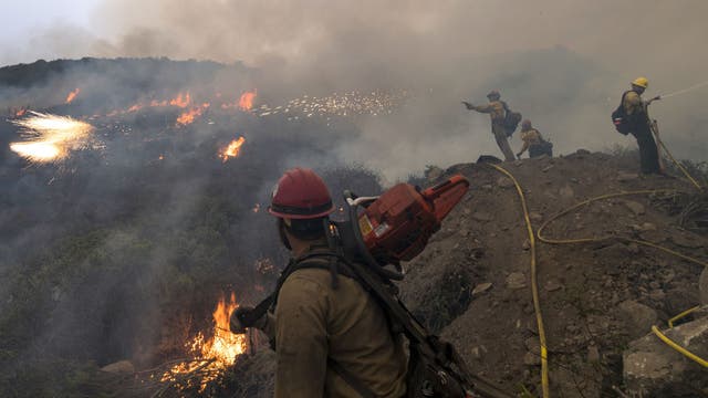 Man sentenced to 24 years in prison for California wildfire that killed 12 condors