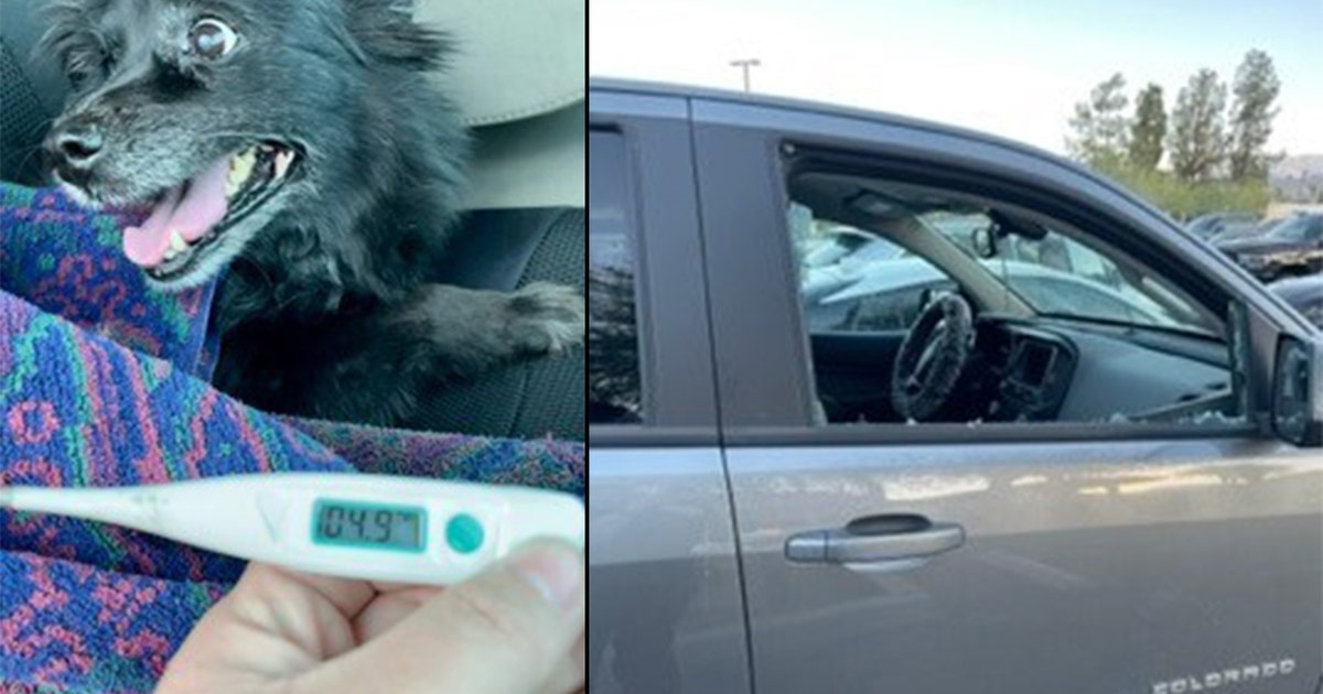 Dog left in hot car rescued in Riverside County | FOX 11 Los Angeles