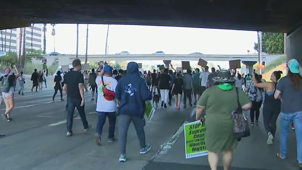 Demonstrators march on 110 Freeway by downtown LA after overturning of ...