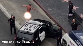 Video: Naked man dances on LAPD cruiser in Hollywood