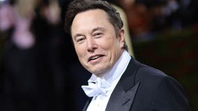 Elon Musk asks why 'leaking' DOJ won't spill Epstein client list: 'Doesn't that seem odd?'