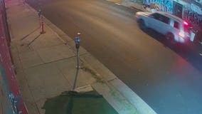VIDEO: $25K reward offered for info on DTLA hit-and-run