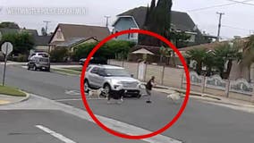 Woman walking dogs hit by hit-and-run driver running through stop sign in OC