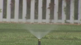 LA County outdoor watering ban in place