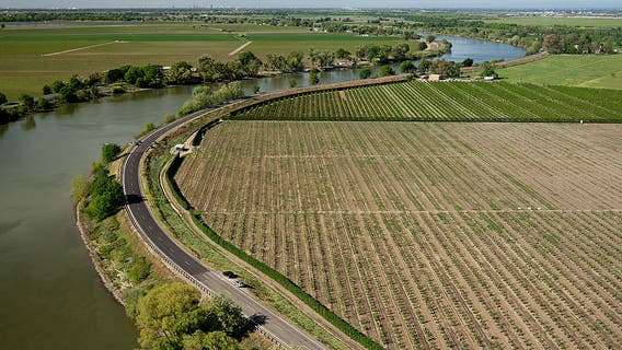 California lawmakers mull buying out farmers to save water
