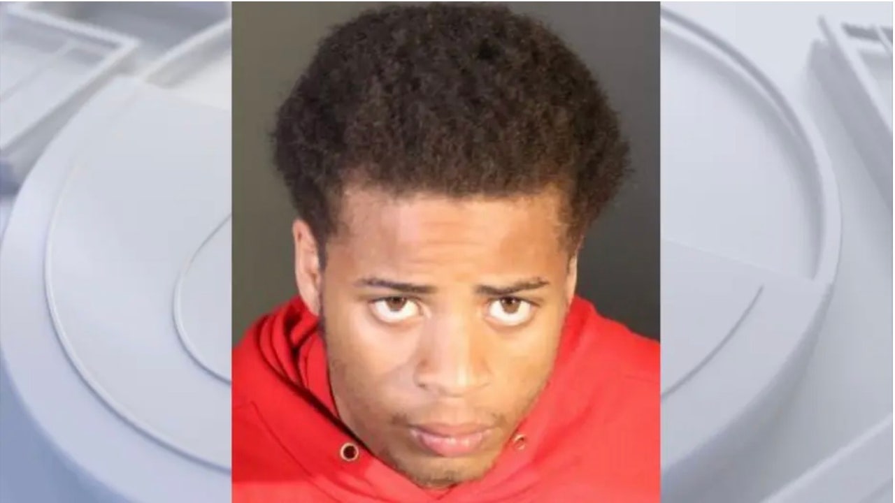 Suspect involved in shooting, robbery of Lady Gaga's dog walker recaptured - Vimarsana News