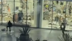 Century City mall robbery: 14 suspects wanted for stealing purses from Nordstrom
