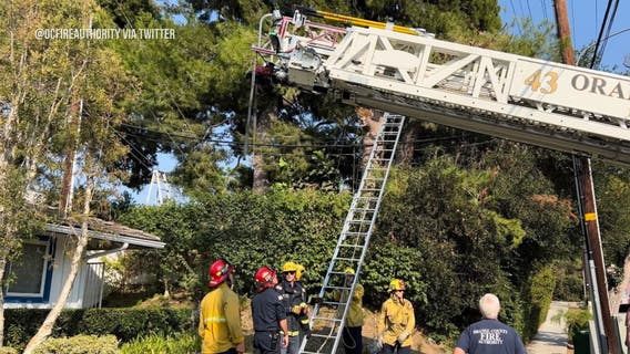 Tree trimmer electrocuted in Tustin
