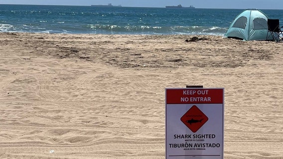 Possible shark sighting in Huntington Beach forces closure