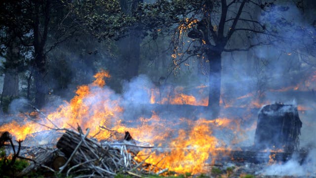 Yosemite wildfire moving east into Sierra National Forest