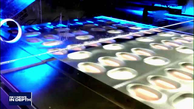 In Depth: COVID therapies and transplants