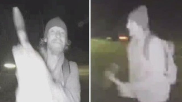 Malibu pickaxe vandal arrested: LASD