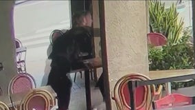 Victim sucker punched by homeless man in Hollywood speaks out