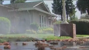 4 million LA County residents asked to stop all outdoor watering due to pipe repairs