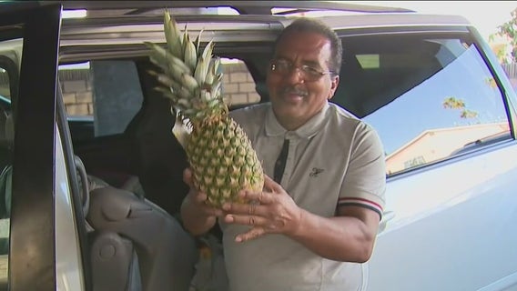 Street vendor has stolen van returned; suspect arrested