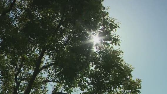 Newsom signs set of bills to 'protect Californians from extreme heat'