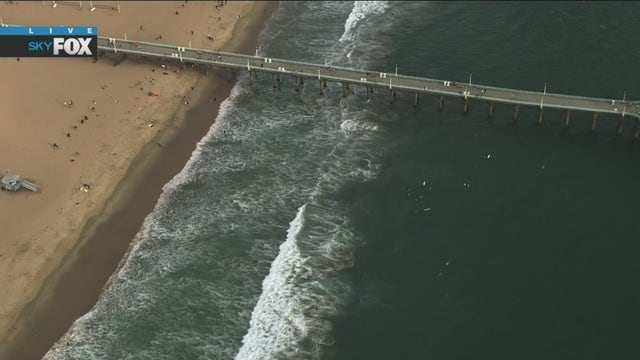 Shark spotted near Manhattan Beach