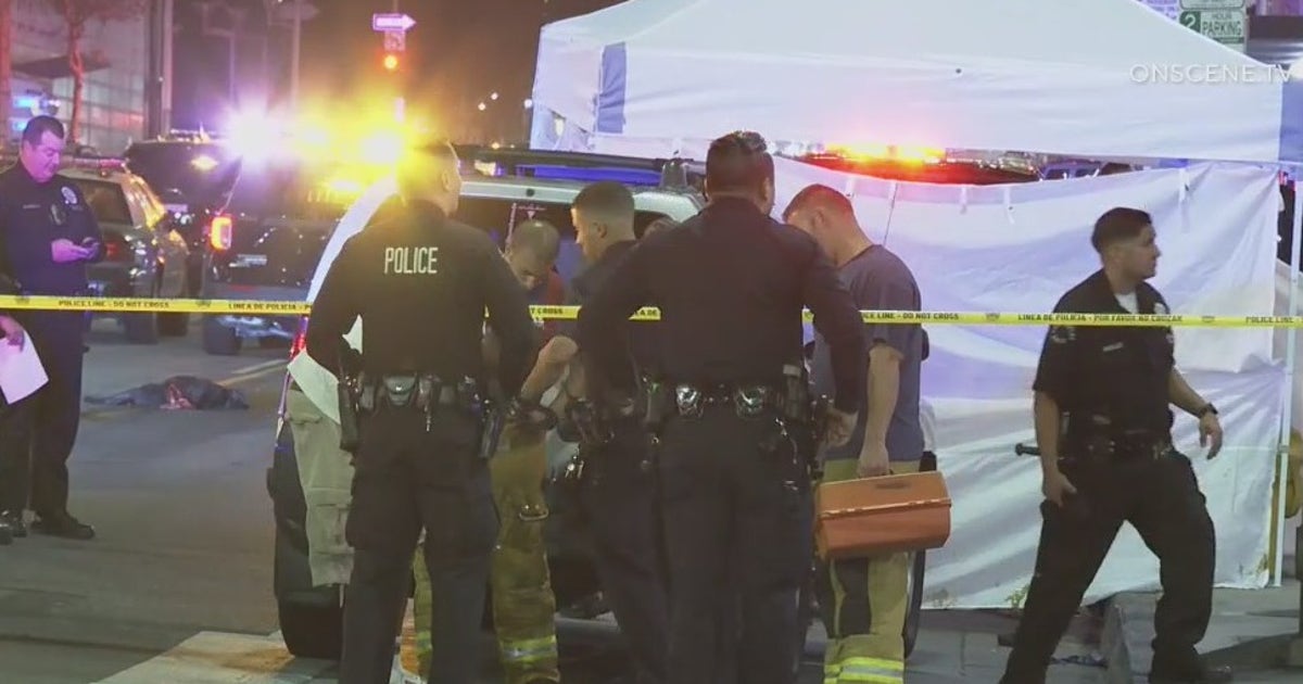 Man, dogs struck and killed in downtown LA | FOX 11 Los Angeles