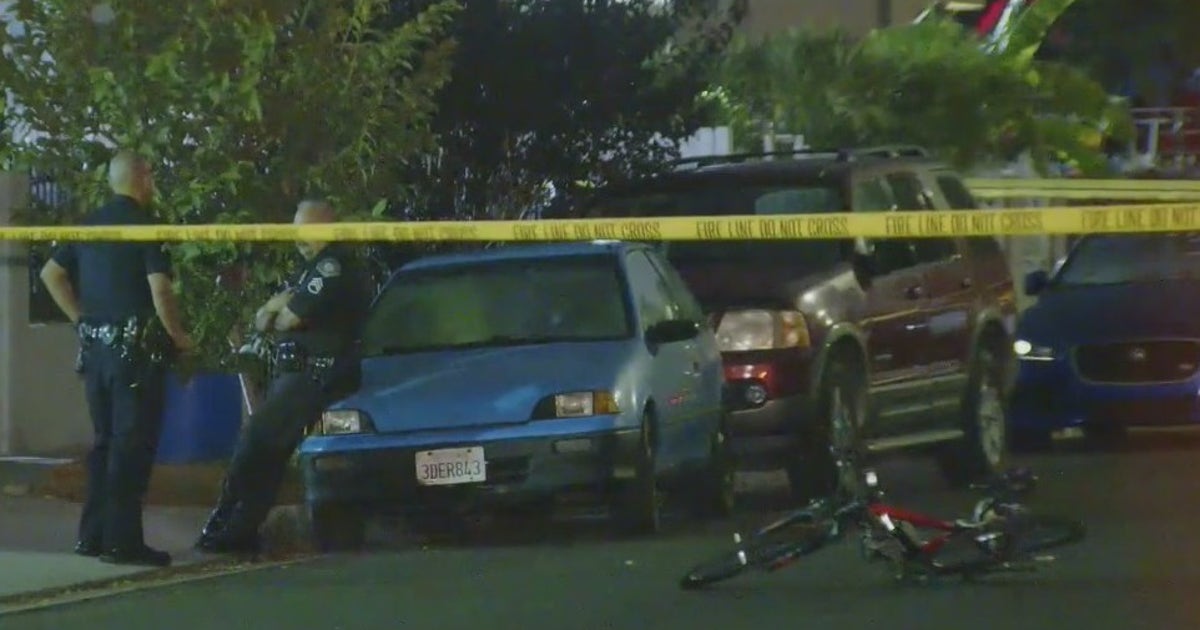 $50K reward offered for information in deadly South LA hit-and-run ...