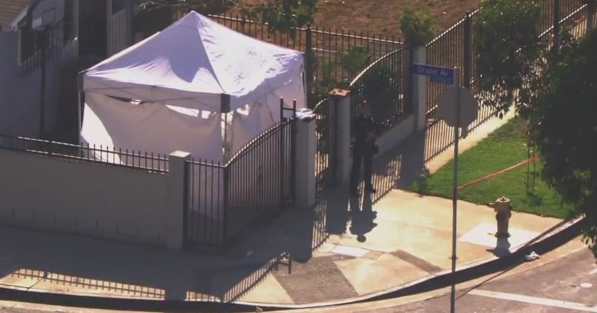 Man holding airsoft gun shot and killed by LAPD in South LA identified ...