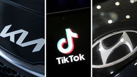 TikTok car theft challenge targeting Kia, Hyundai owners keeping LASD on high alert