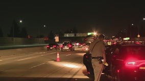 Man struck and killed on 405 Freeway in Granada Hills
