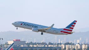 American Airlines attendant allegedly punched by 'unruly passenger' on flight from Cabo to LAX