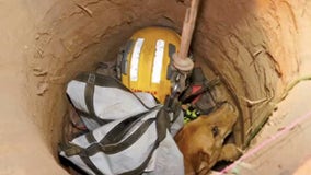 VIDEO: 13-year-old blind dog who fell into 15-foot hole rescued in Pasadena