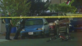 $50K reward offered for information in deadly South LA hit-and-run