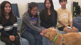 Oxnard Union School District brings wellness centers, therapy dogs to students