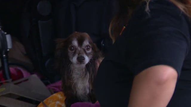 Some families returning home in Castaic after fire evacuation