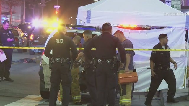 Man, dogs struck and killed in downtown LA