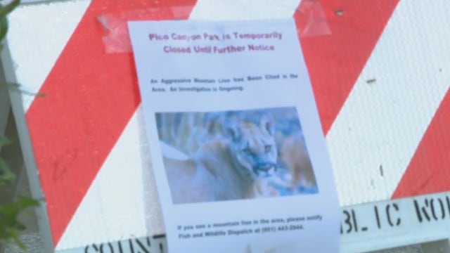 Child attacked by mountain lion at LA County park