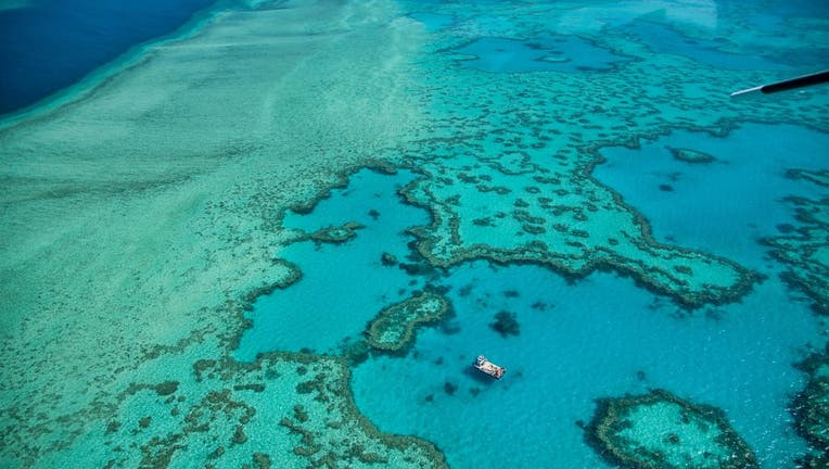 Grande barrière de corail naturelle dans le Queensland