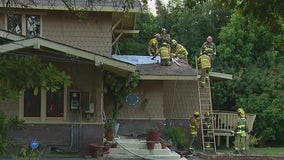 Elderly woman killed in Brentwood house fire