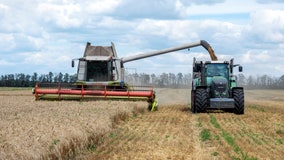 Russia suspending UN-brokered grain export deal that brought down soaring food prices