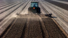 Tomato, onion, garlic prices expected to increase amid ongoing California drought