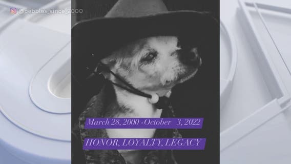 Pebbles, world's oldest living dog, dies at 22