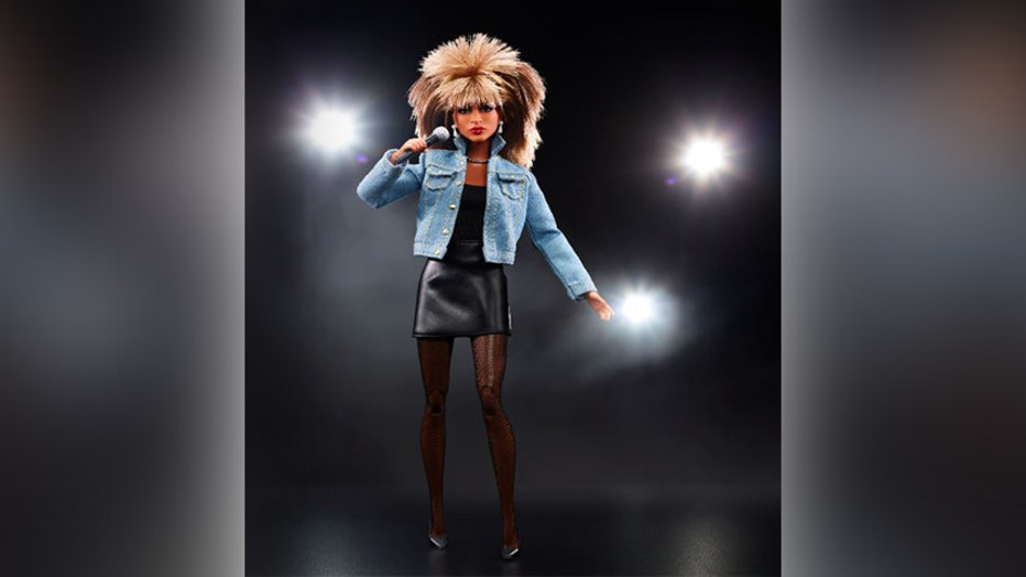 Mattel-new-Tina-Turner-doll.jpg