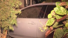 Car slams into Anaheim house