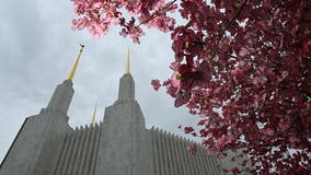 Mormon church shows support for same-sex marriage law, believes act is still unbiblical