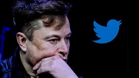 Elon Musk to fire half of Twitter employees: report