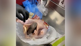 TSA agents find gun smuggled inside raw chicken