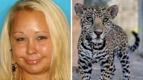 Texas woman who allegedly sold $30K jaguar cub to Riverside man charged